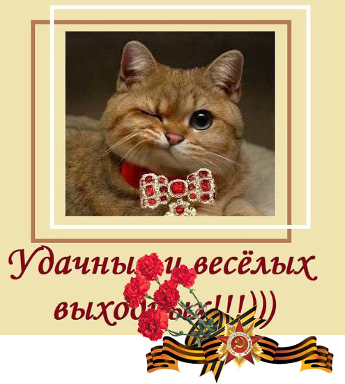 -имени6енг-21234к5к