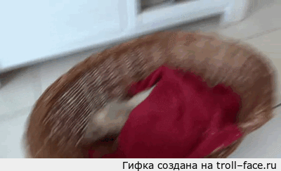 doc139263940_409821590