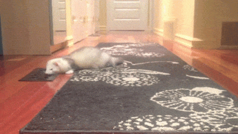 1435046876_1695221936