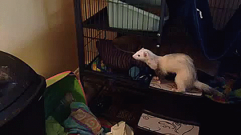 doc139263940_437045398