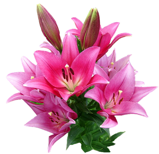 05a754712070cd81169061b20aaa4aa0.jpg_zpsfg7ub2jl[1]