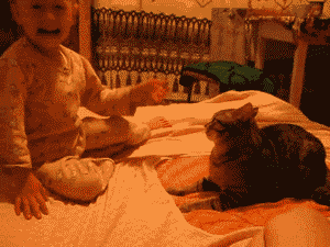 gifs_10