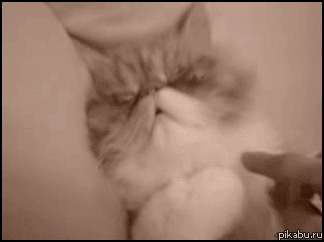 gifs_151