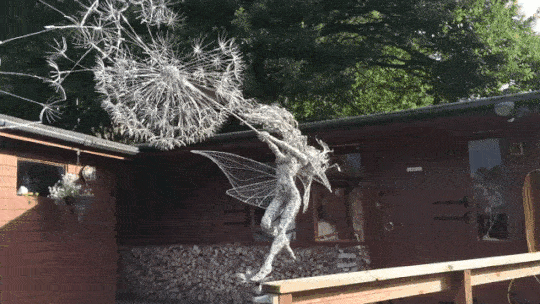 -одуванчик-3099716