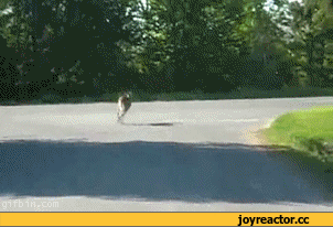 -песочница-171568