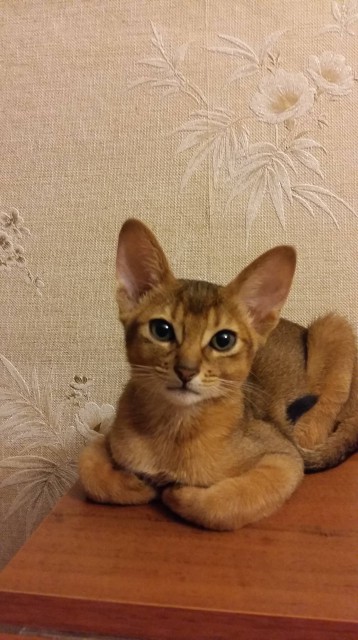 20160312_000030-min-min