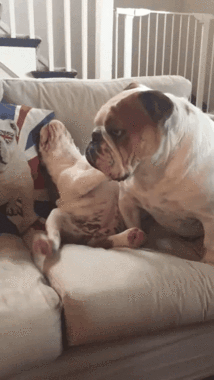 1463466334-e325a80477ad52c601654c0885e47ac0