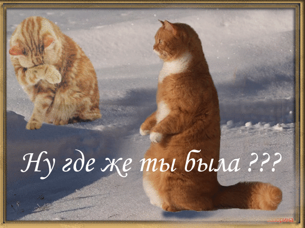 Где же ты была.......