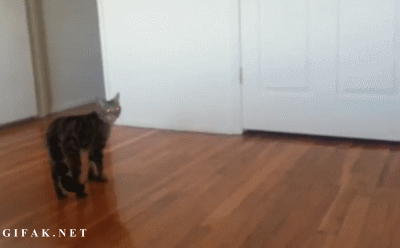 tumblr_mkor3ffDy01s2yegdo1_400