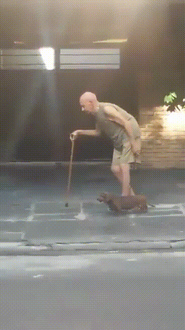 Старик и собака