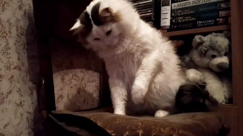 57235f62591f09eb20f0a7883db