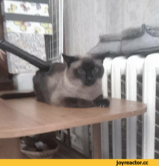 562fbbecb9b67a789d76d5dc6dc