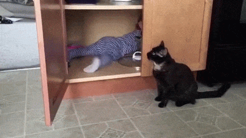 d33e36896417baa28e45f2aa6b3