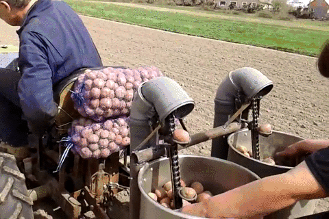 -geek-самоделкин-картошка-3093394