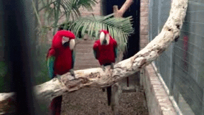 f45af86ef90f76d710c0e68811ecac24 (1)