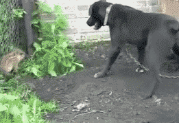 8b647ab51828c98f7d0b5e5d20125023