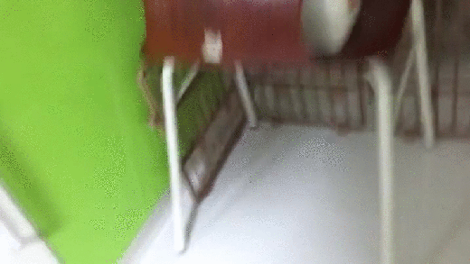 92e4d6f85c1343d01f5ad960d2e60863