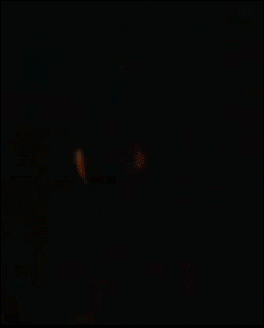 3fc4138e5736ba45c6a3c48433d23229