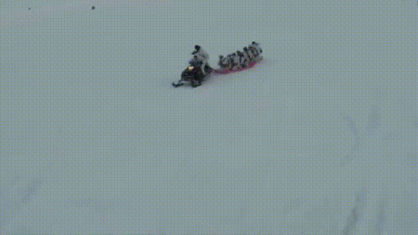 3a34ee38c865e4f2b1550be80d8b66f8