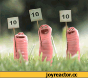 -полет-видео-гифка-1262603