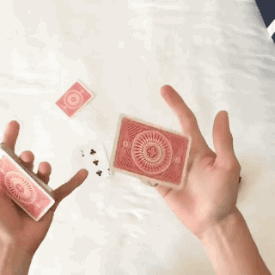1451910316119495041