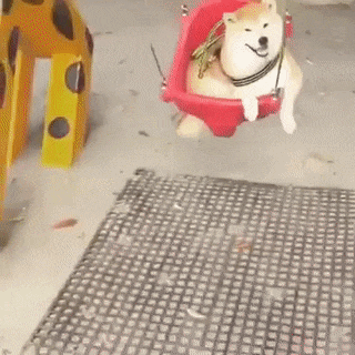ezgif.com-gif-maker