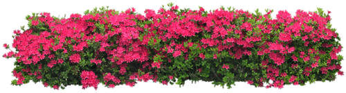 0_825aa_d99aba1_L