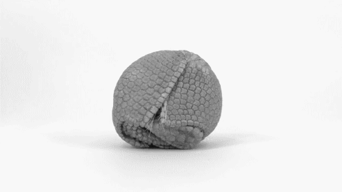 tumblr_myr81meDWw1rs6argo1_500