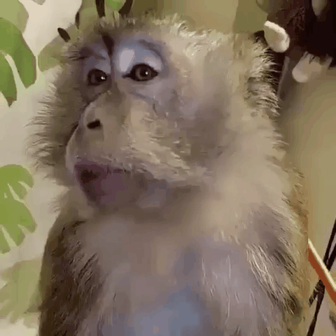 8d10ee78-3229-4143-ae18-e3092c858026