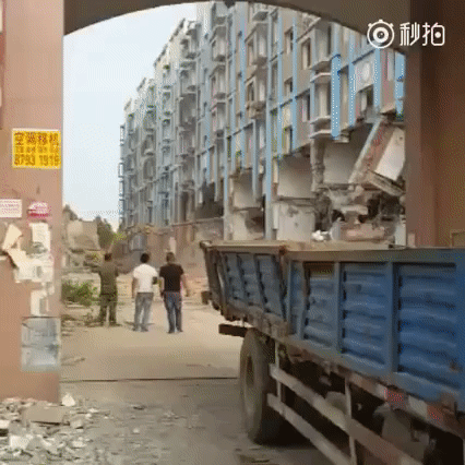 -живность-гифки-Сиба-ину-3137503