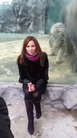 Fake lunch game.. - Imgur