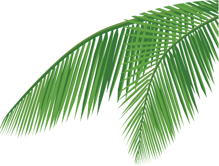 coconut_leaves