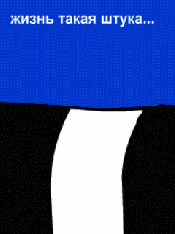 236163197