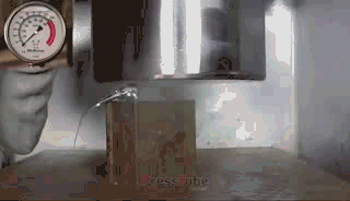 принца руперта7