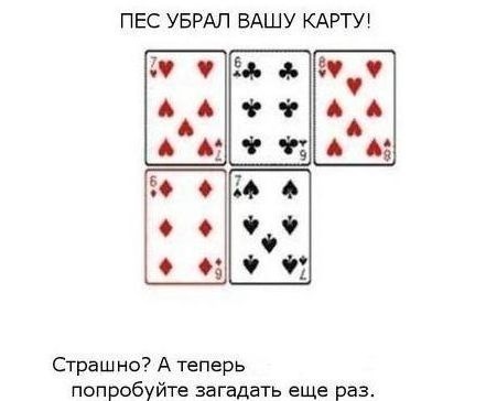0_5a870_947d410b_XL