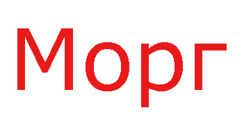 морг