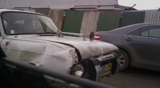 моська в тюненге