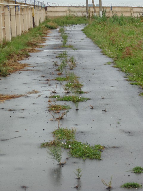 DSC01938