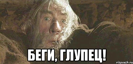 беги, глупец