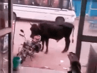 7aa68b0d2d695bba2a8a6d06e7a