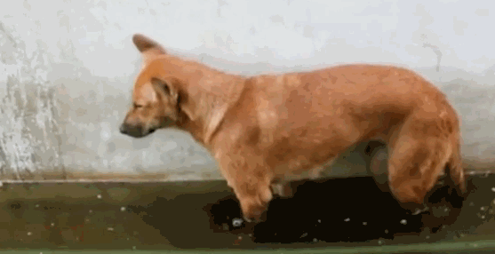 1394143964_441463706