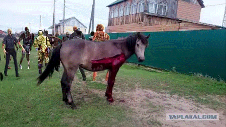 зомби лошадь