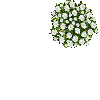 sofa_04_senya blumen weiss