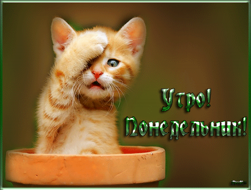 Понедельник