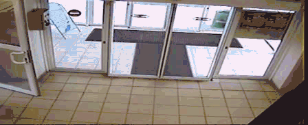 Матерый охранник