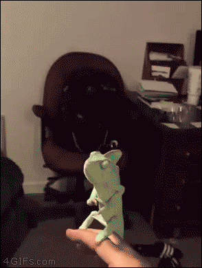 ff7903029454028d4812871849b