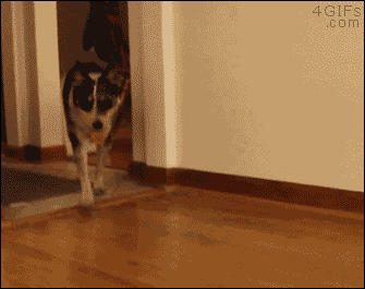 но многие бдительны