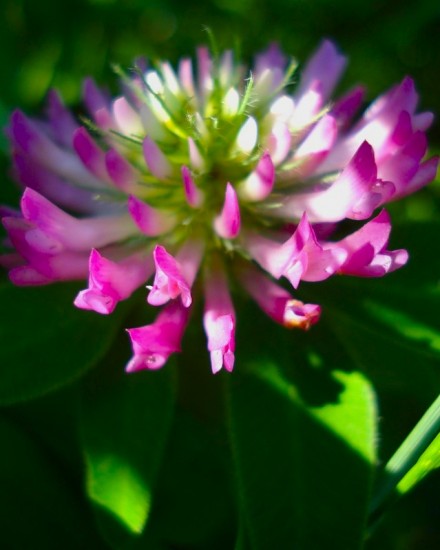 0_119e2_95a1af36_-2-XL