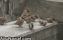 26836-195403-c442f32061bfb02f58f93137cec57dc8