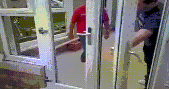 собака и дверь